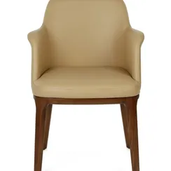 Стул с подлокотниками Jacey