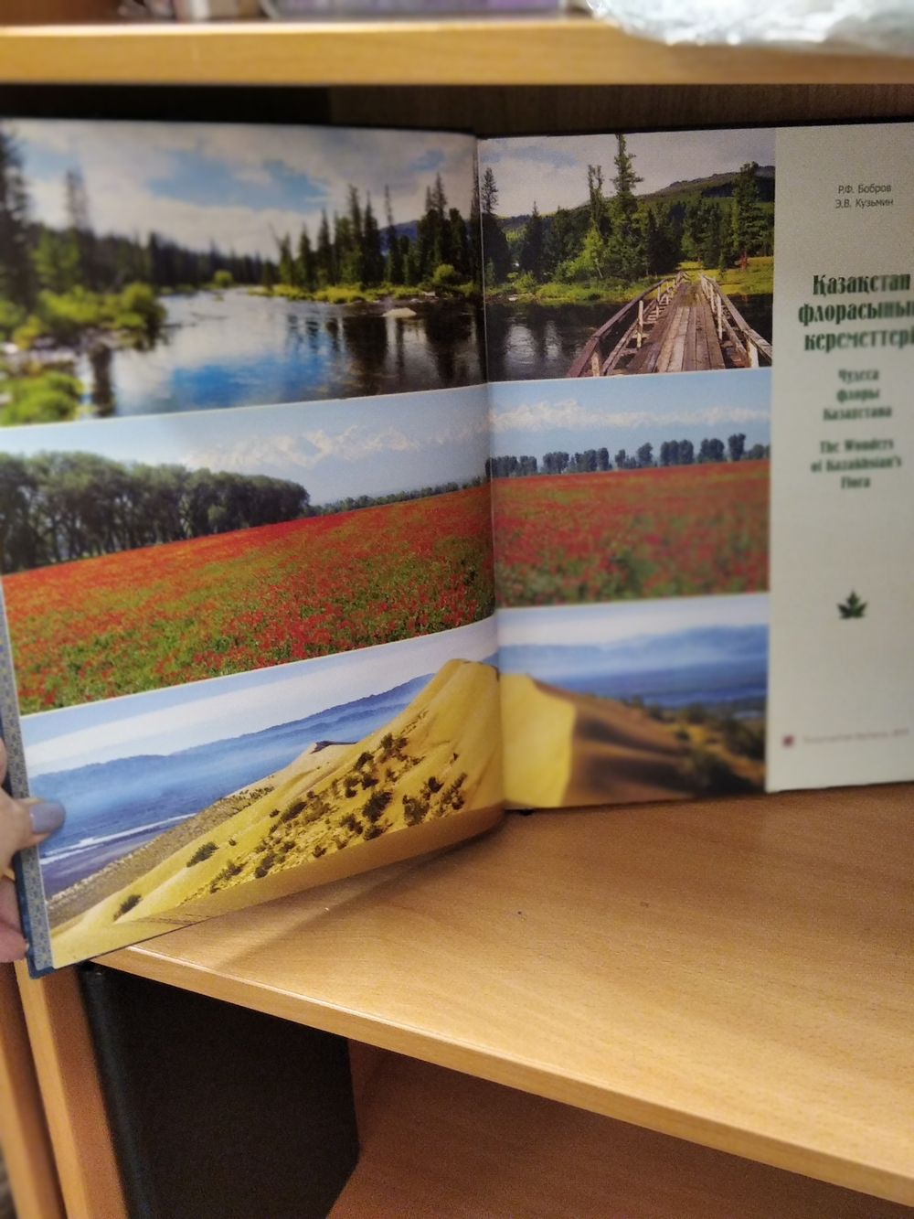 Kaзаkстан флорасынын кереметтері/Чудеса флоры Казахстана