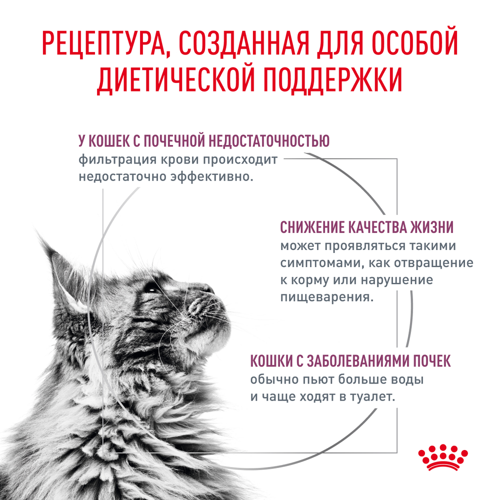 Сухой корм Royal Canin RENAL (РЕНАЛ) диетический для взрослых кошек для поддержания функции почек - 0,35 кг