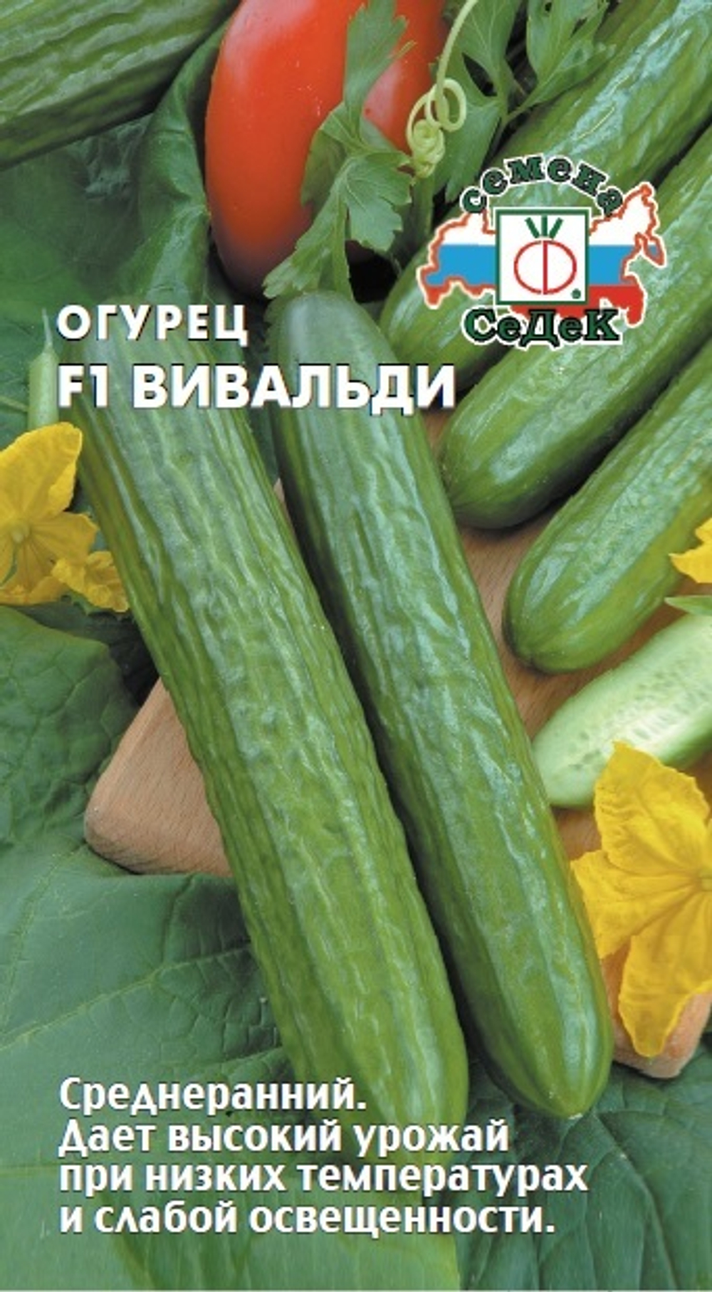 огурец Вивальди F1