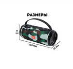 Беспроводная колонка TG-116C Wireless (10W/USB/TF/FM)