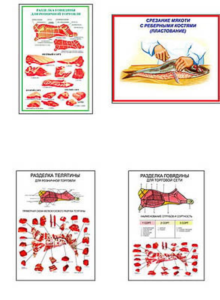 Плакаты ПРОФТЕХ &quot;Разделка мяса&quot; (8 пл, винил, 70х100)