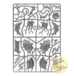 (2 in 1) Haruspex / Exocrine