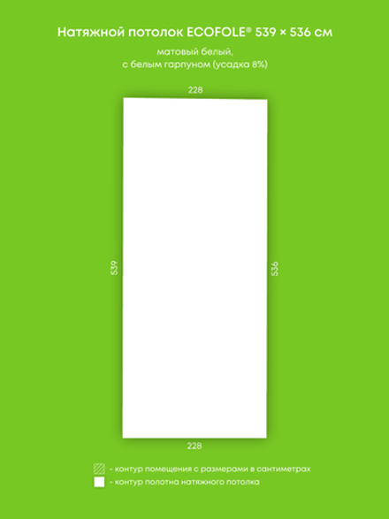 Матовый натяжной потолок 12.3 м2