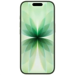 iPhone 17 256 ГБ, Dual: SIM + eSIM, Sage (зеленый)