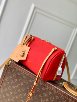 Louis Vuitton Express PM