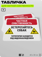 Табличка для частной территории "Частная собственность, остерегайтесь собак", на дом, для участка, организаций, предупреждающая, 40х30 см, Silver Plane x Айдентика Технолоджи