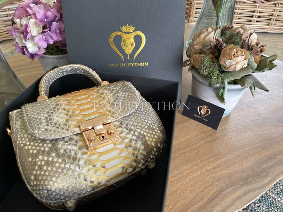 Сумка из кожи питона BG-444