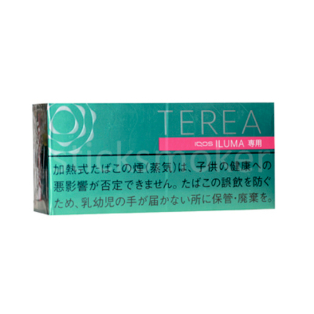 Terea Mint JP