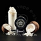 MUSTHAVE (МАСТХЭВ) Coconut Shake, 25 гр.