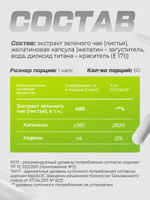 Экстракт зеленого чая, витамины для похудения, энергии и красоты, бады для мужчин и женщин, 60 капсул