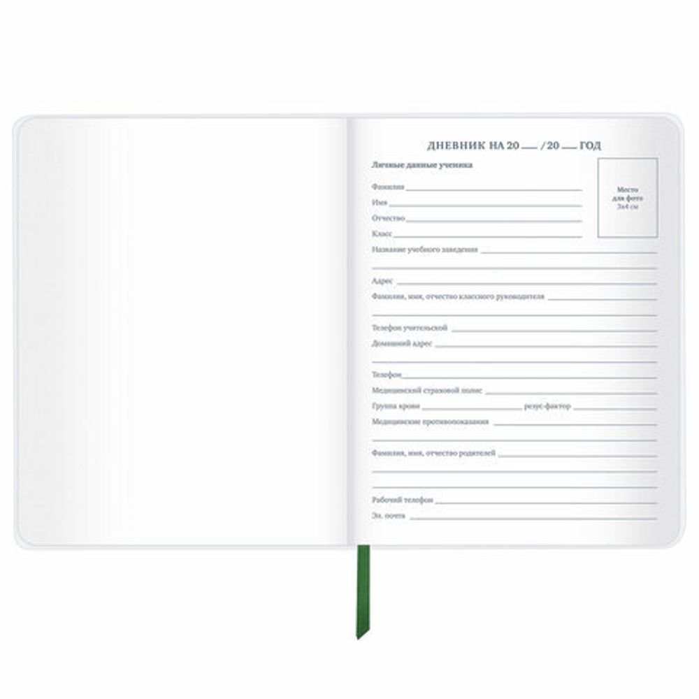 Дневник 1-11 класс 48 л., кожзам (гибкая), термотиснение, фольга, BRAUBERG, "Football", 106170