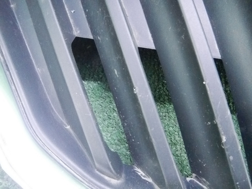 Решетка радиатора Skoda Rapid (2012-2020)