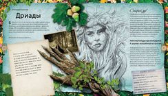 Волшебная страна