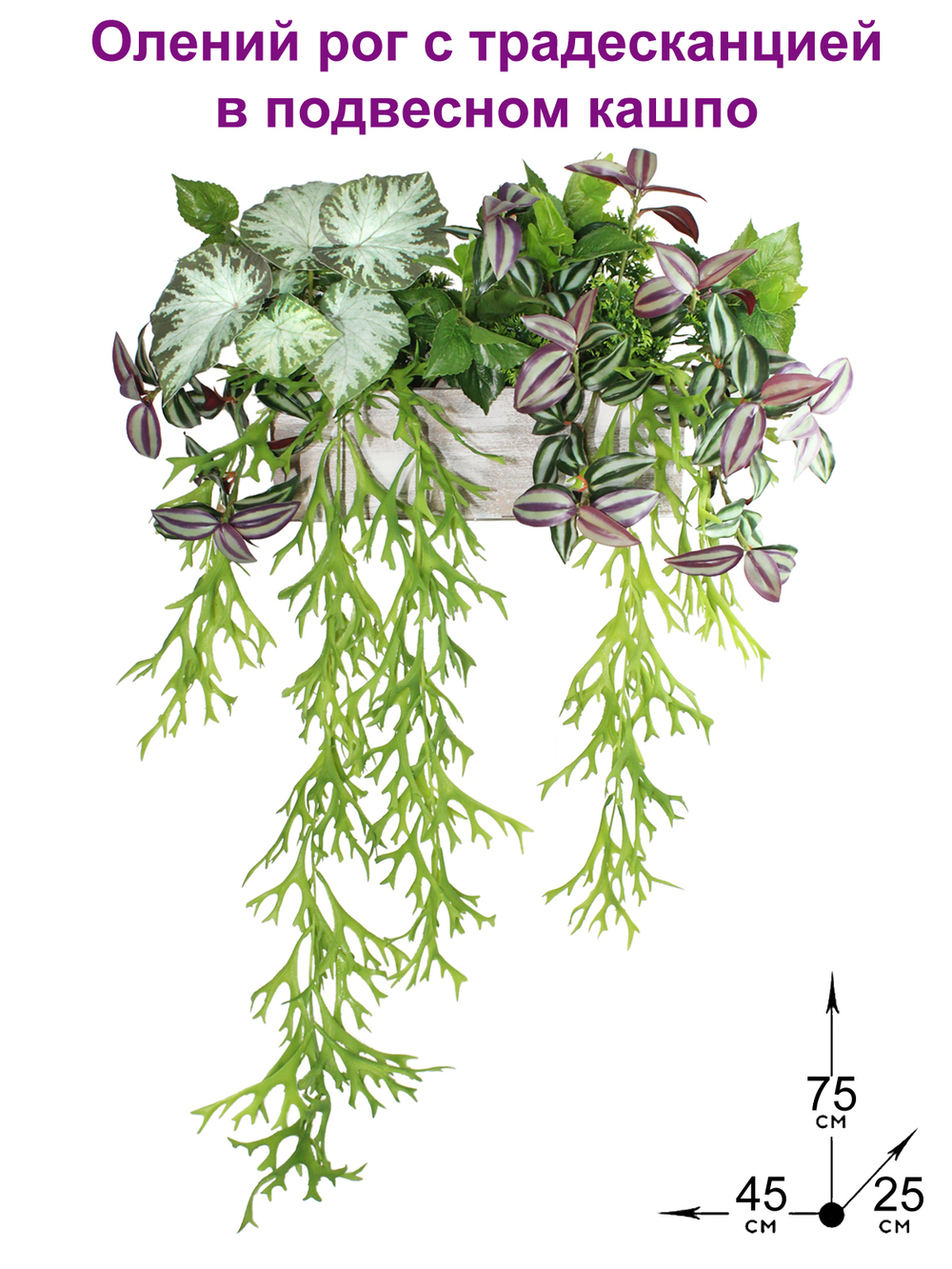 Искусственные растения Олений Рог с Традесканцией в подвесном кашпо