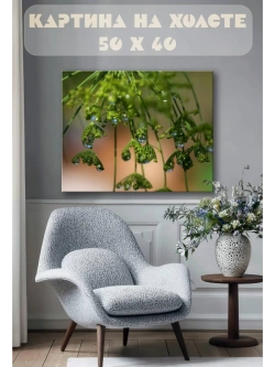 Картина на стену 40 X 50 Роса