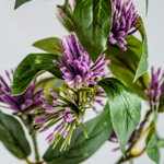 Цветок фиолетового цвета 26348