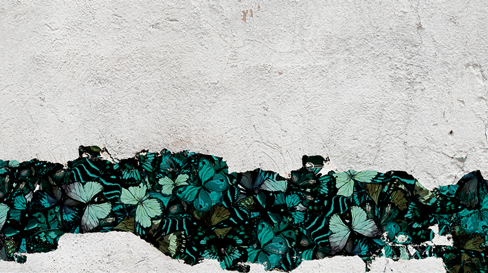 Коллекция WONDERLAND