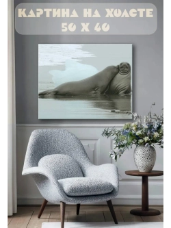 Картина на стену 40 X 50 Тюлени