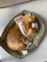 Собака Perfect Petzzz