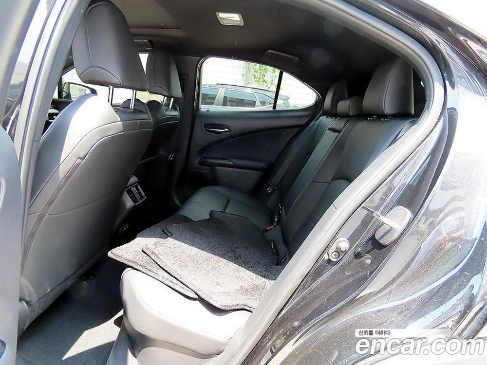 Lexus UX250h 2.0 2WD (09.2020)