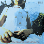 The Smashing Pumpkins / Siamese Dream (2LP)