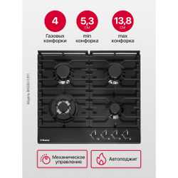 Газовая панель Hansa BHGS611391