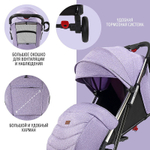 Детская прогулочная коляска Nuovita Anima lilla, Argento / Сиреневый, Серебряный