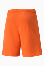 Шорты Puma teamRISE