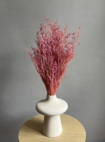 Кермек светло-розовый