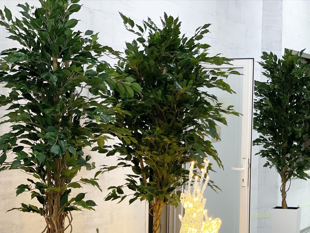 22.01. Озеленение офисного пространства ботаническими копиями растений