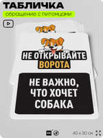 Табличка "Не открывайте ворота, не важно, что хочет собака", для двора, дома, подъезда, 40х30 см, Silver Plane x Айдентика Технолоджи