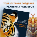 Самые удивительные животные в натуральную величину