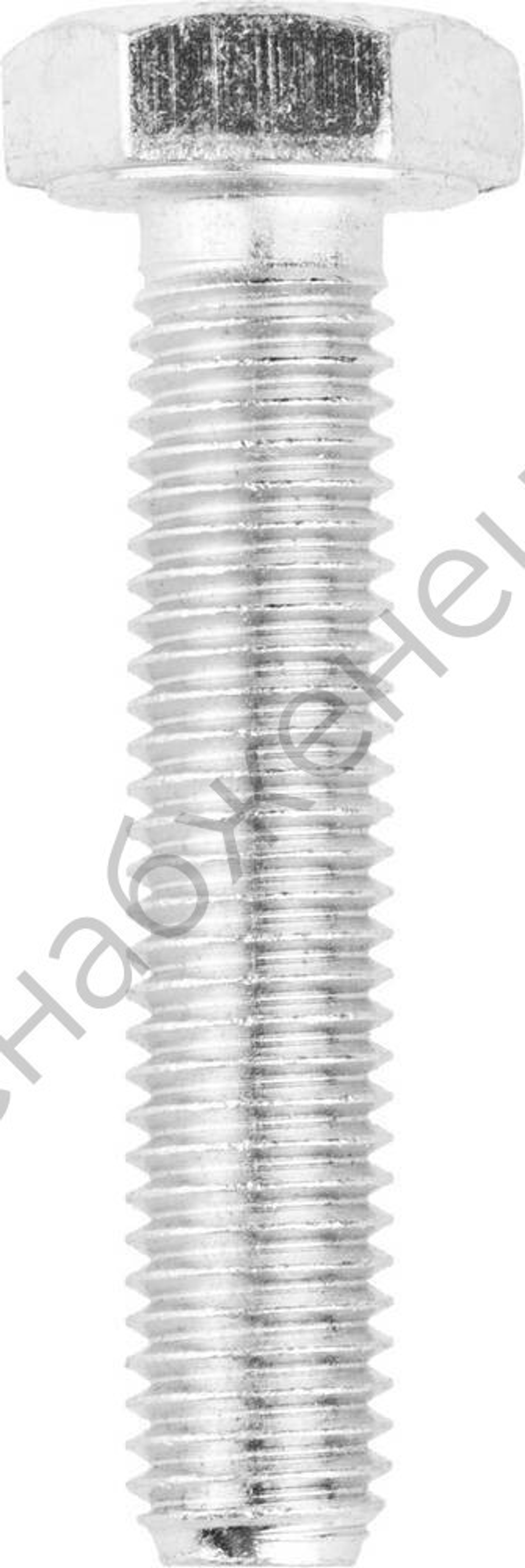 ЗУБР ГОСТ 7798-70 кл. пр. 5.8, M10 x 50 мм, болт оцинкованный, 5 кг (303080-10-050)