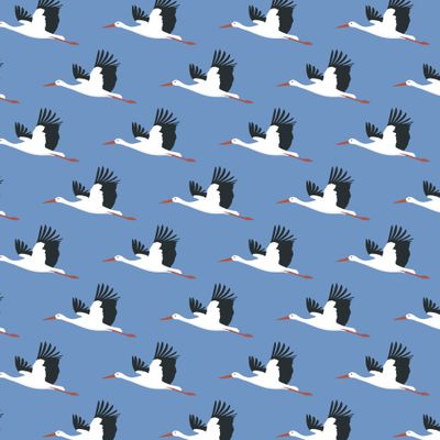 Весенние аисты