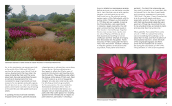 Planting the Natural Garden by Piet Oudolf and Henk Gerritsen