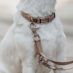 Hunter поводок-перестежка для собак Inari 25 / 200 нейлон бежевый