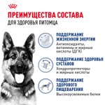 Royal Canin Maxi Ageing 8+ Макси Эйджинг Корм сухой для стареющих собак крупных пород старше 8 лет 15кг