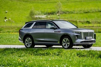 Hongqi E-HS9 Premium (2024)