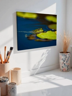 Картина на стену 40 X 50 Лягушка