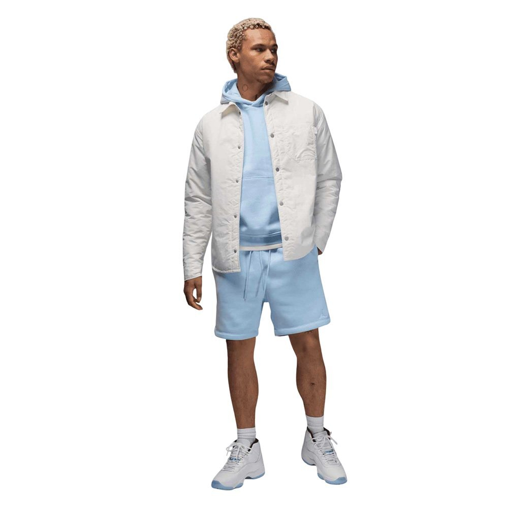 Шорты Jordan Brooklyn Fleece Shorts Blue