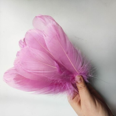 Гусиные перья фиалковые 2 сорт 20 шт.