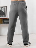 Брюки мужские Акс Виотекс СЕРЫЙ