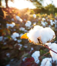 Tessuto, welcome спрей для текстиля, Culti Milano