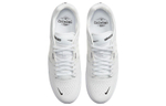 Кроссовки Nike Sb Ishod