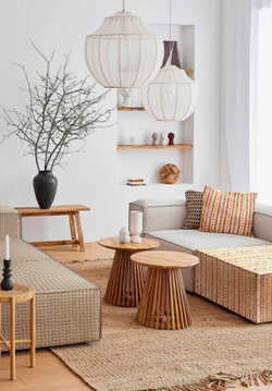 Букле Intellect (Интеллект) 01