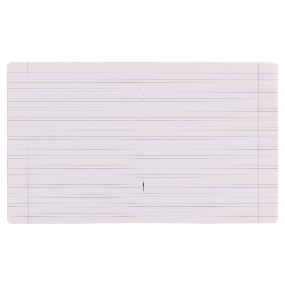 Тетрадь школьная А5 12л линия,ассорти "Классика Light" (Erich Krause) микс цветов (комплект 3 шт)