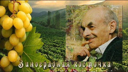 «Виноградная ĸосточĸа» («Грузинсĸая песня»)