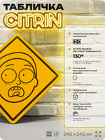 Табличка декоративная "Морти" на дверь и стену, прикольная штука в подарок фанату, декоративный знак, 24,5х24,5 см, пластиковая, Айдентика Технолоджи