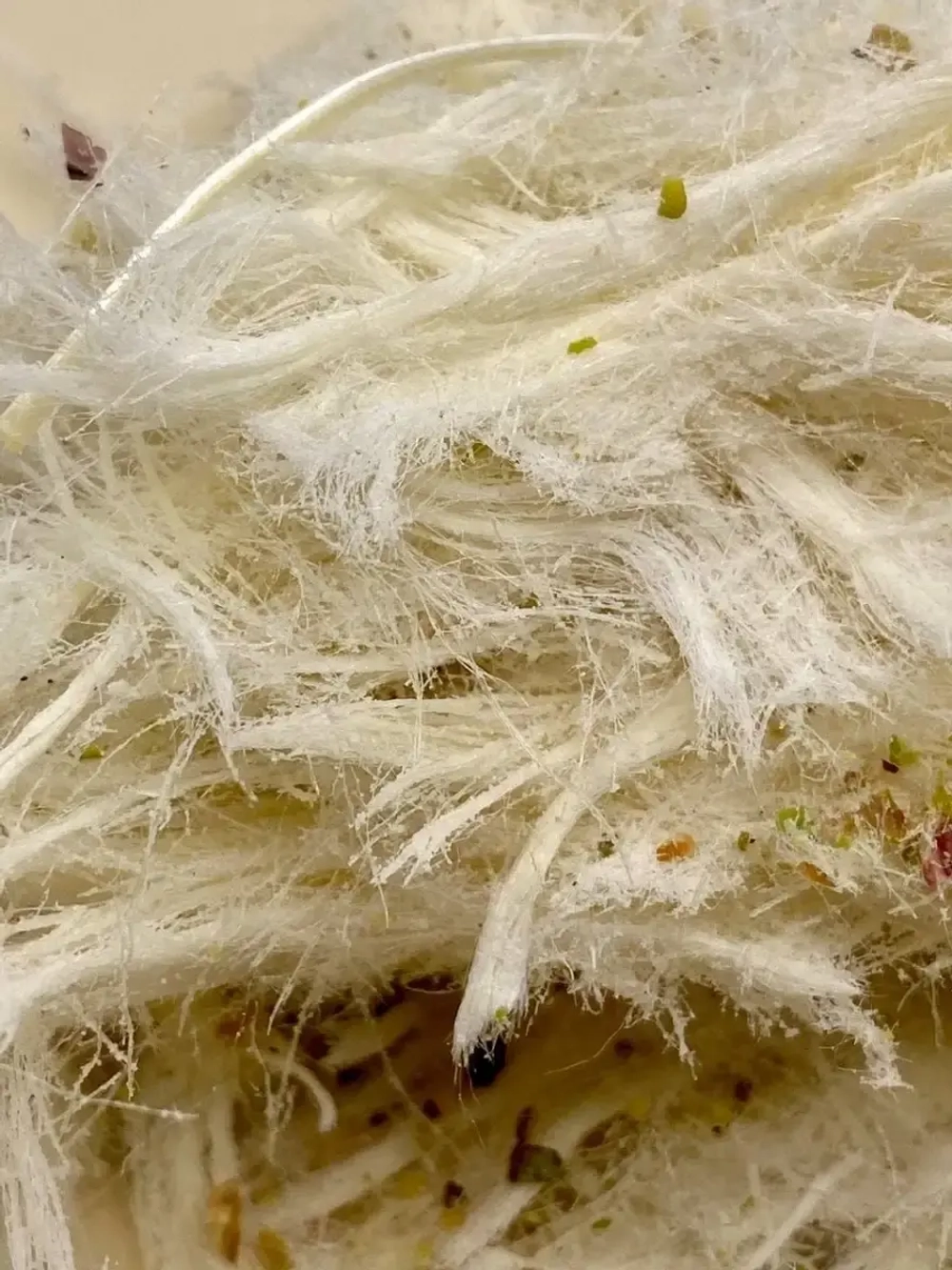 Пишмание ,халва нитевидная с фисташками